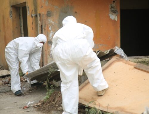 Asbestos Removal in Canberra: A Practical Guide