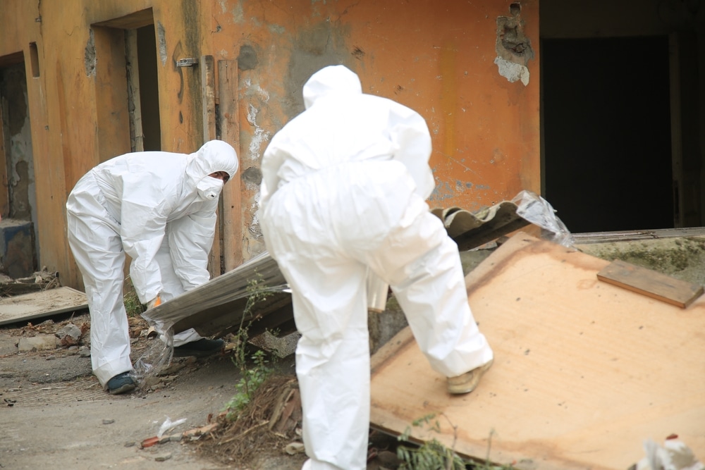 Professional Asbestos Removal Worker
