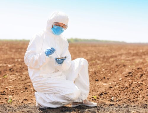 How Can I Heal Contaminated Soil in Canberra?
