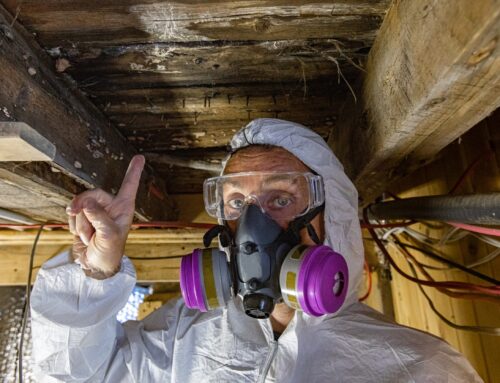 How to Find a Licensed Asbestos Removalist in Canberra